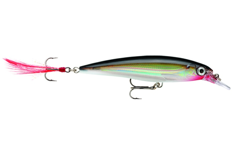 Rapala X-Rap 10_S. Plastový wobler s holografickým povrchem těla je skutečně prvotřídní nástrahou pro zkušené i začínající lovce