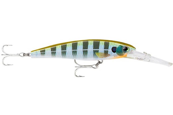 X-Rap® Saltwater Deep 11 BG posouvá osvědčenou výkonnost klasické řady X-Rap® Saltwater do zcela nových hloubek. ✅ Extrémní hloubkový dosah 🎣 Objevte neprobádané hlubiny – X-Rap® Saltwater Deep přináší osvědčený výkon řady X-Rap® do zcela nových rozměrů rybaření. Tato nástraha proniká hluboko do temných zákoutí vod, kde čekají na svou příležitost trofejní dravci. Dokonalá volba pro rybáře, kteří chtějí cílit na největší sladkovodní i mořské predátory. ✅ Univerzální barvy v HD rozlišení 🌈 Perfektní přizpůsobení každé situaci – Díky široké škále realistických barev ve vysokém rozlišení snadno přizpůsobíte X-Rap® Saltwater Deep různým podmínkám rybolovu. Ať už chytáte v řekách, na mělčinách nebo v hlubokých mořských vodách, vždy máte k dispozici varianty, které dokonale imitují přirozenou kořist a zlákají i ty nejopatrnější dravce. ✅ Prověřený magnet na dravce 🐟 Nepřekonatelná účinnost v praxi – X-Rap® Saltwater Deep má za sebou dlouhé roky testování v extrémních podmínkách a nespočet pozitivních zkušeností rybářů. Jeho mimořádně realistický pohyb a profil láká predátory jako barramundi, murray cod, mangrove jack a další oblíbené druhy dravých ryb. ✅ Revoluce ve vaší rybářské výbavě 🏆 Vaše nová tajná zbraň na trofejní ryby – X-Rap® Saltwater Deep vám poskytne výraznou výhodu při lovu dravců z hlubokých vod. Extrémní hloubkový dosah, odolná konstrukce, bohatá barevná paleta a prověřený výkon zajistí, že se tato nástraha rychle stane klíčovou součástí vaší rybářské výbavy při lovu velkých sladkovodních i mořských trofejí. 🔍 Technické parametry: 🎨 Barva: HLW - Halloween 📏 Délka: 11 cm ⚖️ Váha: 22 g 🌊 Hloubkový rozsah: 3 m 🪝 Počet trojháčků: 2 × VMC Perma Steel 3X velikost 2 🛡️ Vlastnost: neutrální, zvukový 🎣 Technika lovu: nahazování