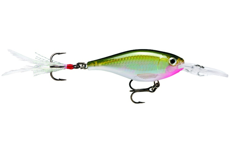  Rapala X-Rap Shad OG
