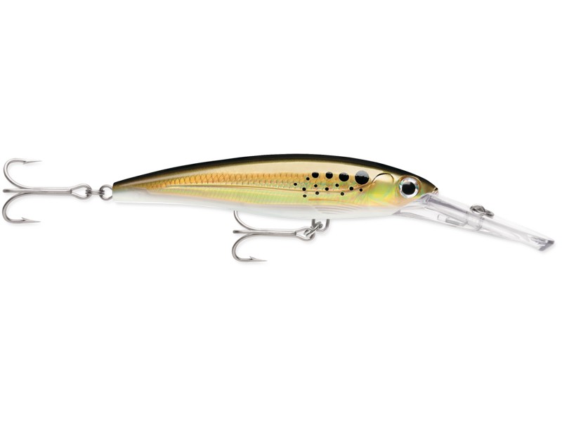 Rapala X-Rap Magnum 20_BNK