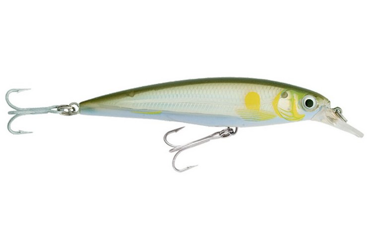 Rapala X-Rap Saltwater 14 AYU