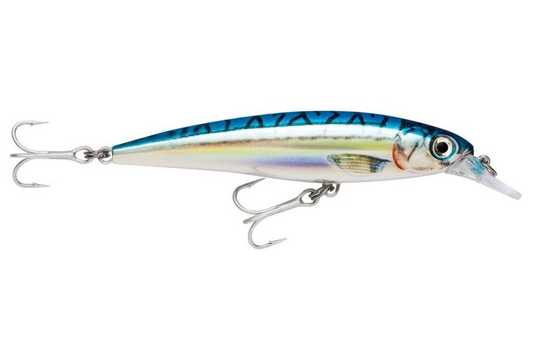 Rapala X-Rap Saltwater 12 BM