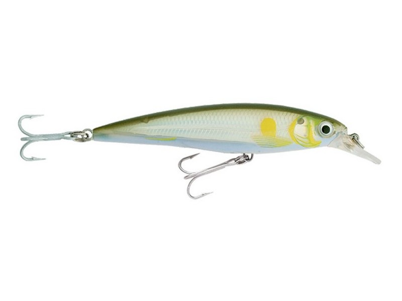Rapala X-Rap Saltwater 10 AYU