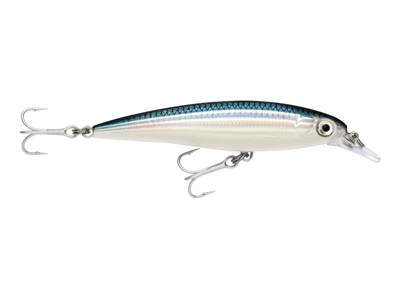 Rapala X-Rap Saltwater 10 BFH