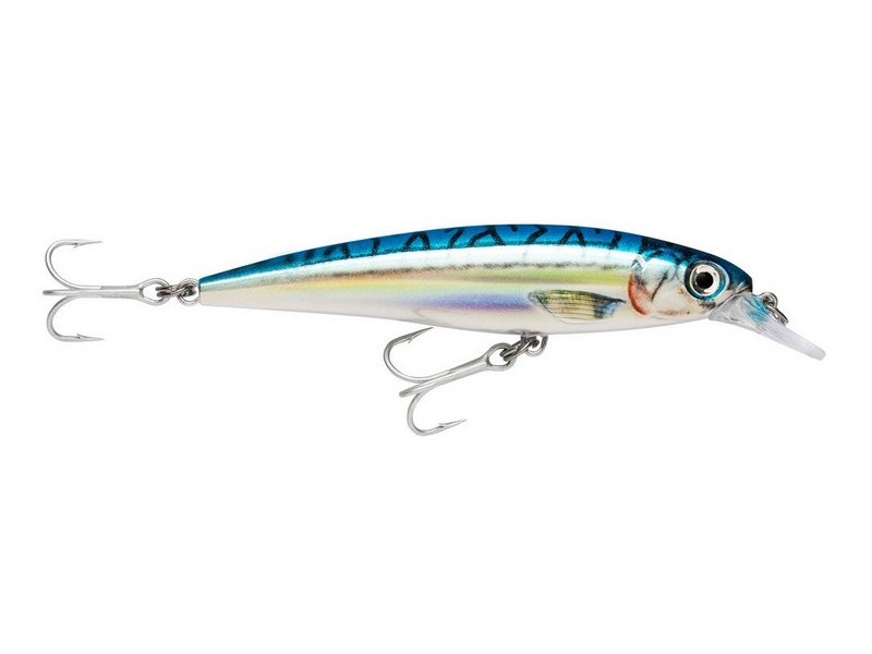 Rapala X-Rap Saltwater 10 BM