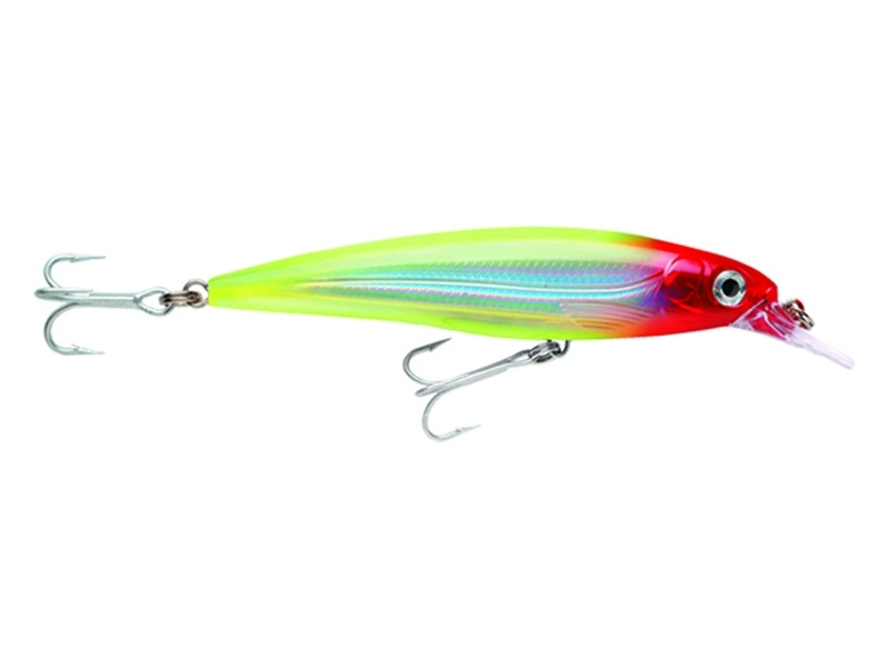 Rapala X-Rap Saltwater 10 CLN