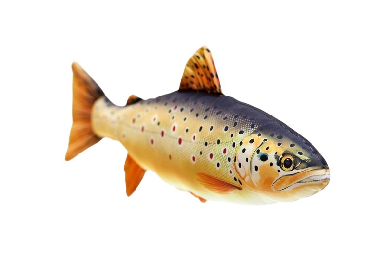🐟 Realistický polštář ve tvaru ryby. Originální polštář Gaby ve tvaru ryby potěší každého milovníka ryb a rybaření. Realistický vzhled, kvalitní potisk a detailní tvar těla z něj dělají věrnou imitaci skutečného úlovku. Vyroben je z měkkého, příjemného materiálu, který zaručuje pohodlí i dlouhou životnost.
