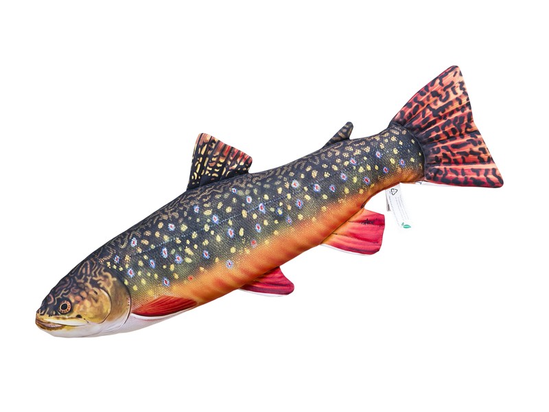 🐟 Siven mini | 💚 Měkký materiál | 🎣 Realistické provedení | 🎁 Dárek