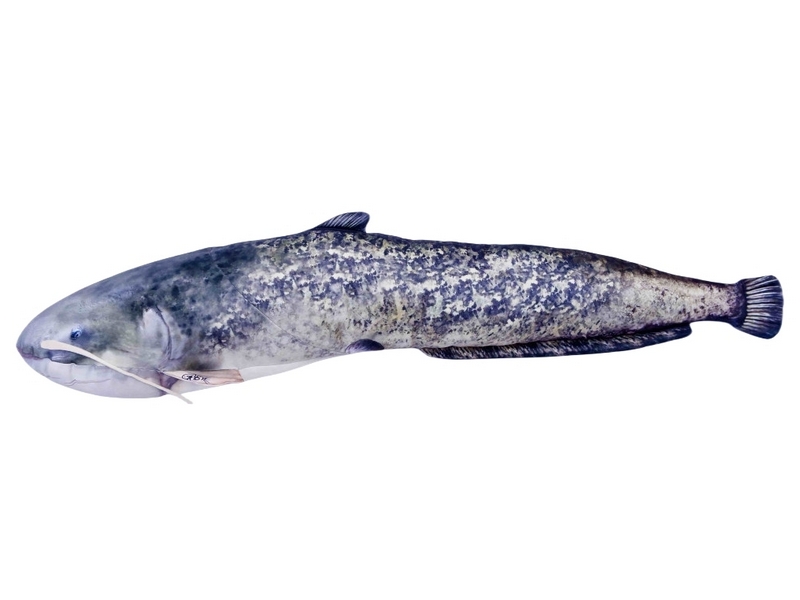 🐟 Realistický polštář ve tvaru ryby. Originální polštář Gaby ve tvaru ryby potěší každého milovníka ryb a rybaření. Realistický vzhled, kvalitní potisk a detailní tvar těla z něj dělají věrnou imitaci skutečného úlovku. Vyroben je z měkkého, příjemného materiálu, který zaručuje pohodlí i dlouhou životnost.
