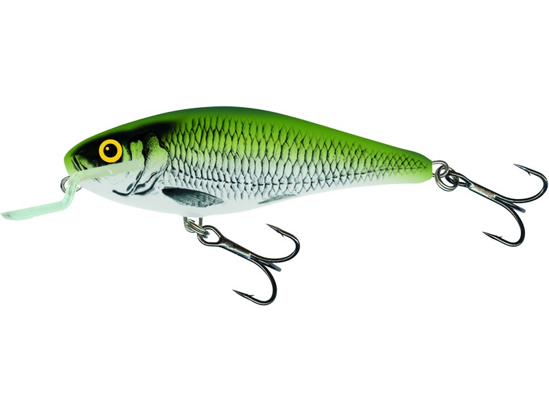 🎯 Salmo Executor Olive Bleak – univerzální nástraha pro mělké vody.  Salmo Executor SR je plovoucí wobler, který si získal pověst spolehlivé nástrahy pro lov dravců. Díky živé a atraktivní akci je účinný při pomalém i rychlém vedení, což z něj dělá skvělou volbu pro lov štik, candátů, okounů i dalších dravých ryb.