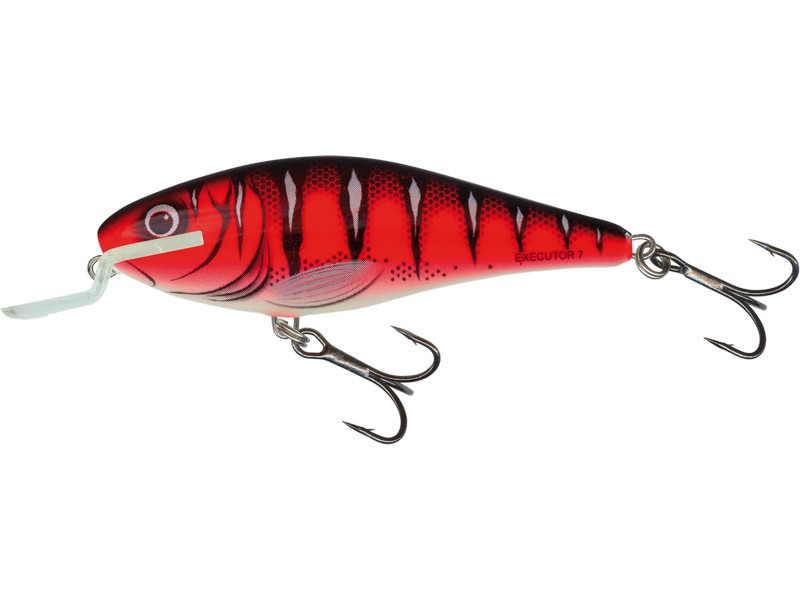 🎯 Salmo Executor Chartreuse 12 Red Wake – univerzální nástraha pro mělké vody. Salmo Executor SR je plovoucí wobler, který si získal pověst spolehlivé nástrahy pro lov dravců. Díky živé a atraktivní akci je účinný při pomalém i rychlém vedení, což z něj dělá skvělou volbu pro lov štik, candátů, okounů i dalších dravých ryb.