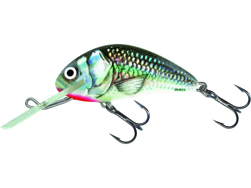 🎯 Salmo Hornet 06 F Holographic Grey Shiner – plovoucí wobler pro univerzální lov dravců. Oblíbený model z legendární řady Hornet ve střední velikosti 6 cm je ideální pro lov štik, candátů, okounů i tloušťů.