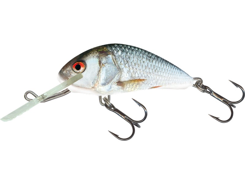 🎯 Salmo Hornet 06 F Real Dace – plovoucí wobler pro univerzální lov dravců. Oblíbený model z legendární řady Hornet ve střední velikosti 6 cm je ideální pro lov štik, candátů, okounů i tloušťů.