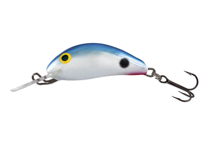 🎯 Salmo Hornet 03 F Red Tail Shiner– mini plovoucí wobler pro jemnou přívlač  Salmo Hornet 03 F je lehký plovoucí wobler dlouhý 3,5 cm, určený pro ultralight a jemnou přívlač. Díky své živé, přirozené akci a stabilnímu chodu je ideální pro lov pstruhů, okounů a tloušťů v řekách, potocích i menších jezerech.
