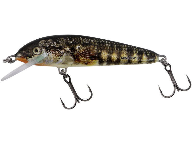 🐟 Salmo Minnow Holo Stickleback – klasický jednodílný wobler pro lov dravců 🎯 Wobler Salmo Minnow je plovoucí, jednodílná nástraha navržená pro všechny druhy dravých ryb. Vyniká živou, přirozenou akcí, díky které je atraktivní i pro zkušené a opatrné predátory. 🌊 Skvěle funguje v řekách – můžete ho vést po proudu, proti proudu i napříč tokem. Střídejte rychlost navíjení a přidejte jemné pocukávání špičkou prutu, aby nástraha působila ještě přirozeněji. 💡 Minnow je osvědčená volba pro lov pstruhů, okounů, tloušťů, bolenů, štik i candátů.