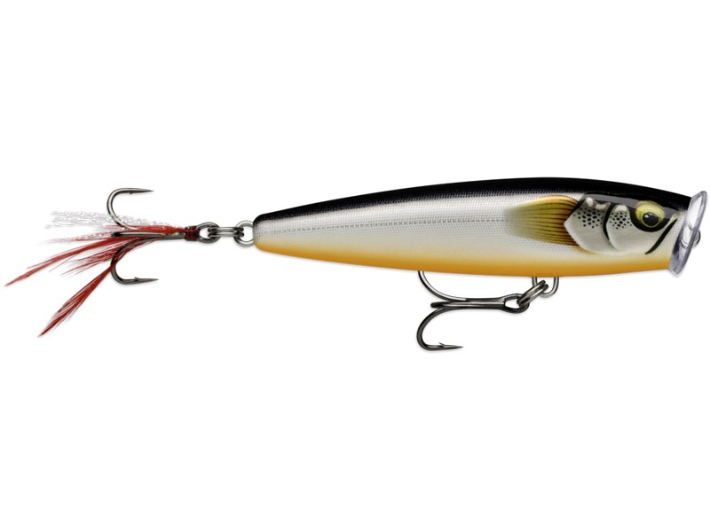 Skitter Pop Elite GDSS
