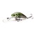 Salmo Hornet 06