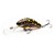 Salmo Hornet 04