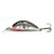 Salmo Hornet 02