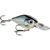 X-Light Shad