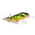 Perch
