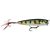 Skitter Pop Elite 75