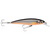 X-Rap Saltwater 12