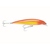 X-Rap Saltwater 14