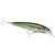 X-Rap Saltwater 08