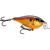 Shallow Shad Rap Elite