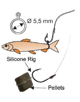 Bait Elastic Bands