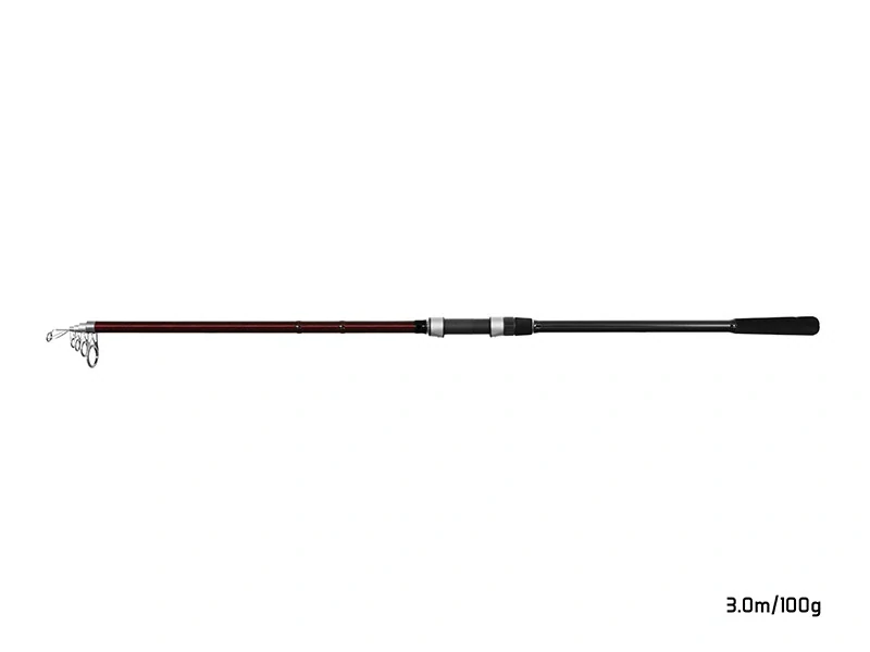 Delphin Prut Thunder GenerationX 300cm_100g_5 dílů