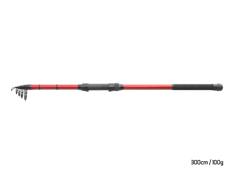 Delphin Prut Amulet Tele 300cm_100g_6 dílů
