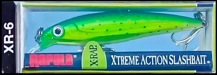 Rapala X-Rap 06_SW D
