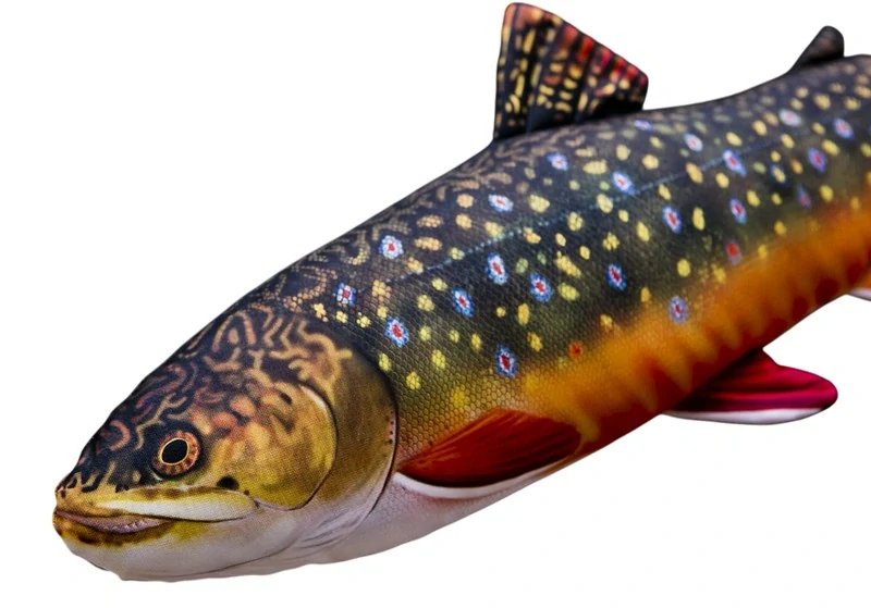 Polštář Gaby Siven americký mini 35 cm