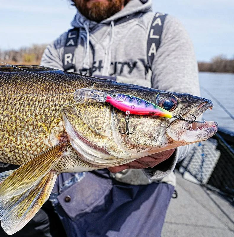 Rapala Harvest Shad 05 SB