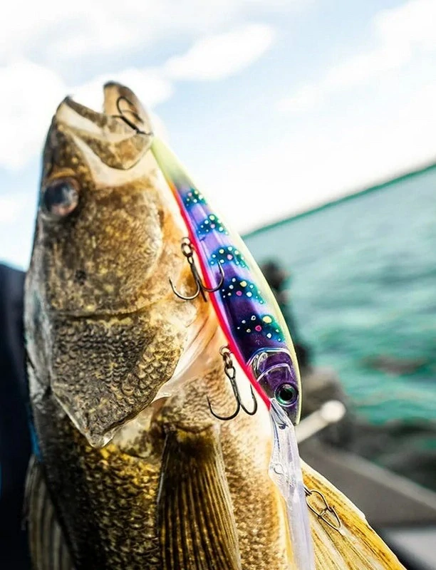 Rapala Gold Miner 30_MFT