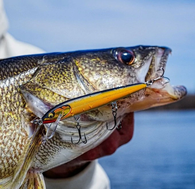 Rapala Floater Elite 120 GDNIA