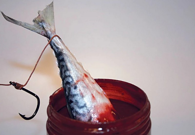 Dynamite Baits Hookbait Dip Bloodied Eel_270ml