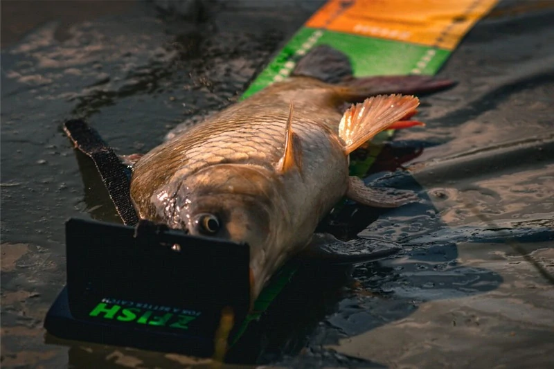 Zfish Měřící podložka Challenger_140 x 8 x 3 cm