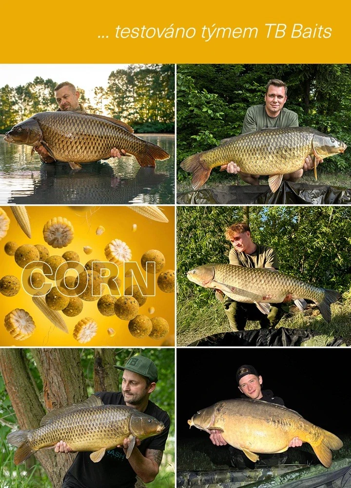 TB Baits Boilie Corn 2,5 kg 24 mm