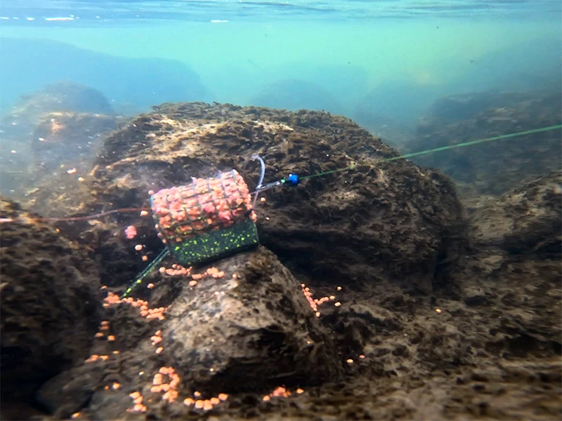 Delphin Krmítko s olověnou zátěží RiverStix 170g