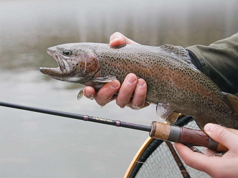 Prut Delphin Troutera SoftLure 210 cm 1-7 g 2 díly