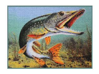 Rohož Delphin 3D Štika_ 60x40cm
