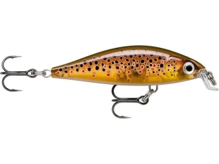 Wobler Rapala X-Light Minnow 05_TRL