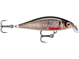 Wobler Rapala X-Light Minnow 05_ROL