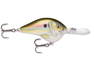 Wobler Rapala DT 10_RSL