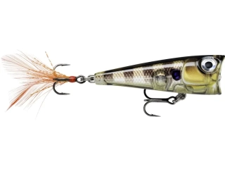 Wobler Rapala X-Light Pop 04_GGIU