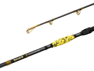Prut Delphin Hazard BxG_285cm_505g_2díly