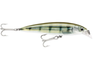 Wobler Rapala X-Rap Saltwater 10_PF